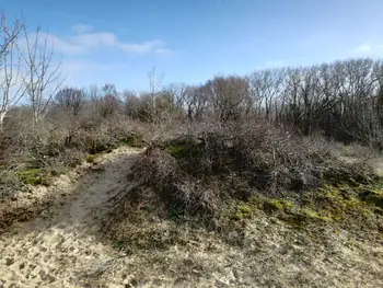 De Panne (België)